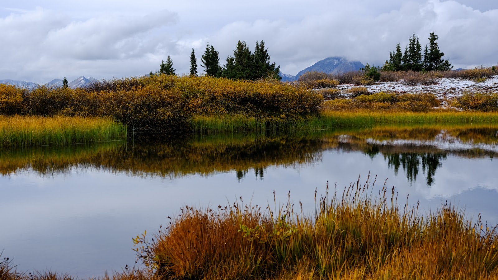 alpine lake with gold, yellow and brown grasses and a fresh dusting of snow on the collegiate peaks loop.