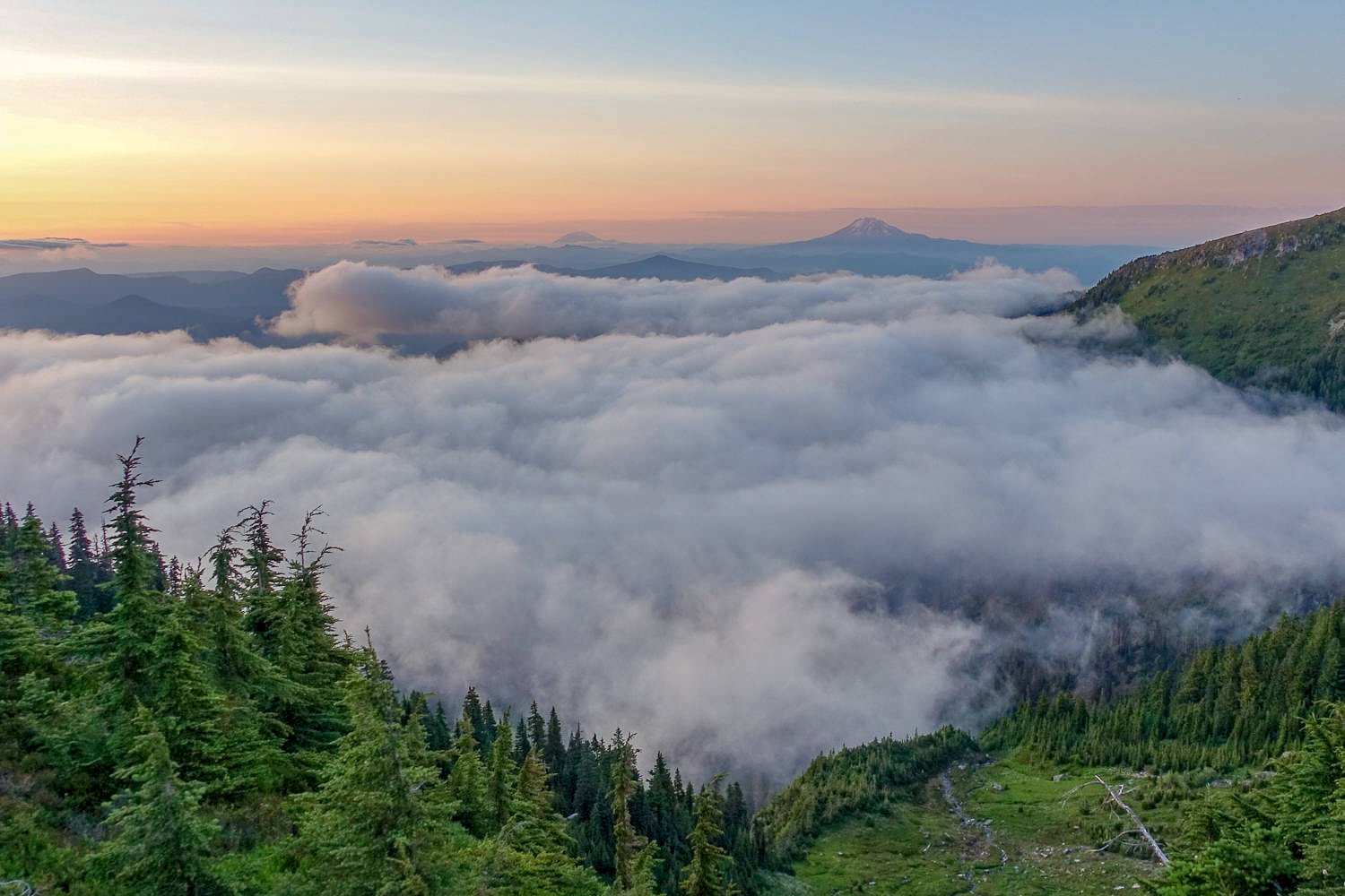 above the clouds with a sunset view of mt. adams in the distance from the timberline trail in oregon