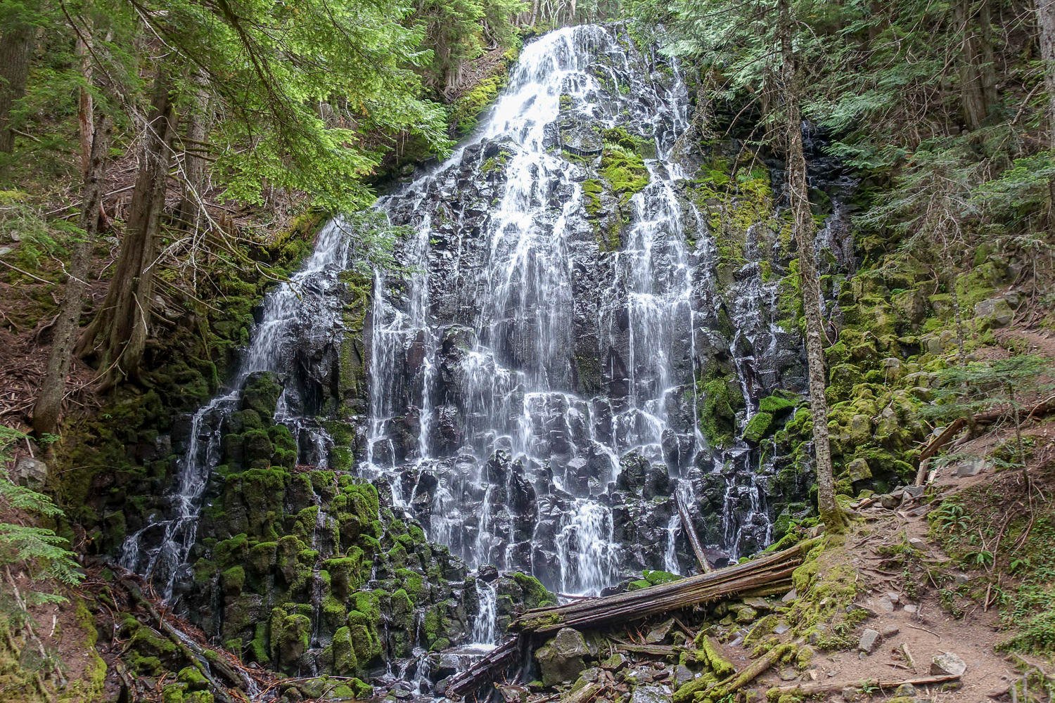 small cascade on mossy rocks on the timberline trail around mt. hood