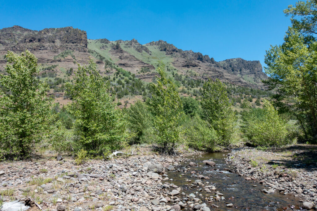 small creek running through a canyon in the steens