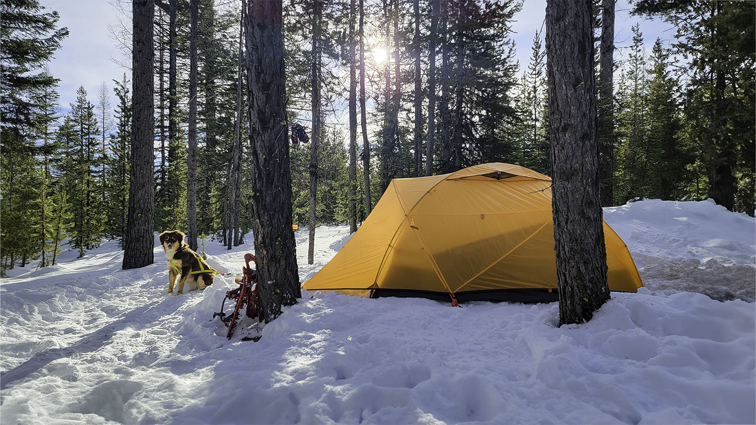 11 Best Tents (2024): Backpacking, Family, and Ultralight
