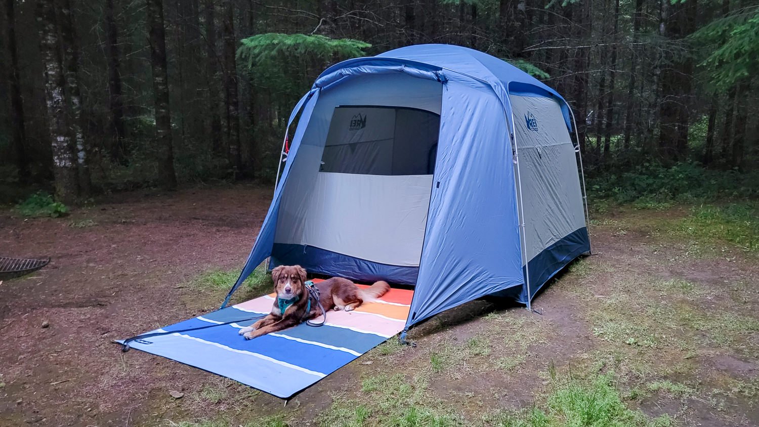 Tarp Shelter Tips for Rain and Wind While Camping - Uncommon Path – An REI  Co-op Publication
