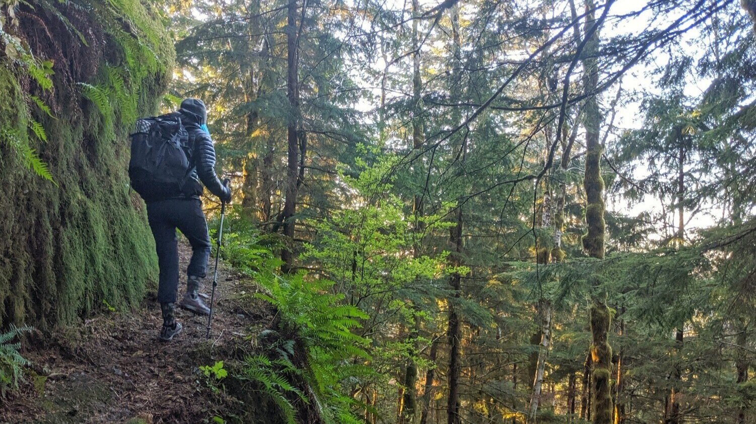 backpacker using trekking poles on the Appalachian trail