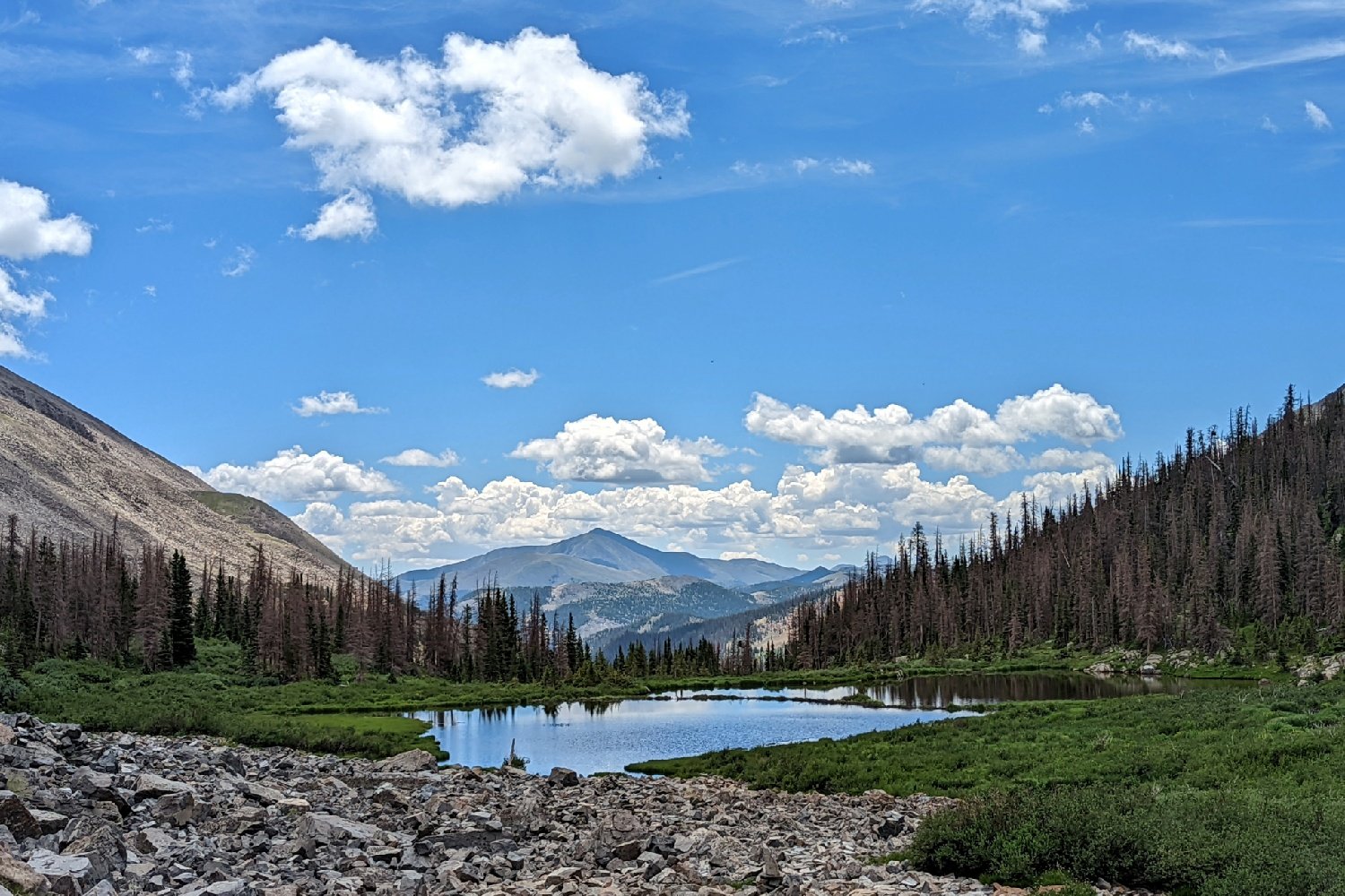 lake in the woodland zone of the colorado trail