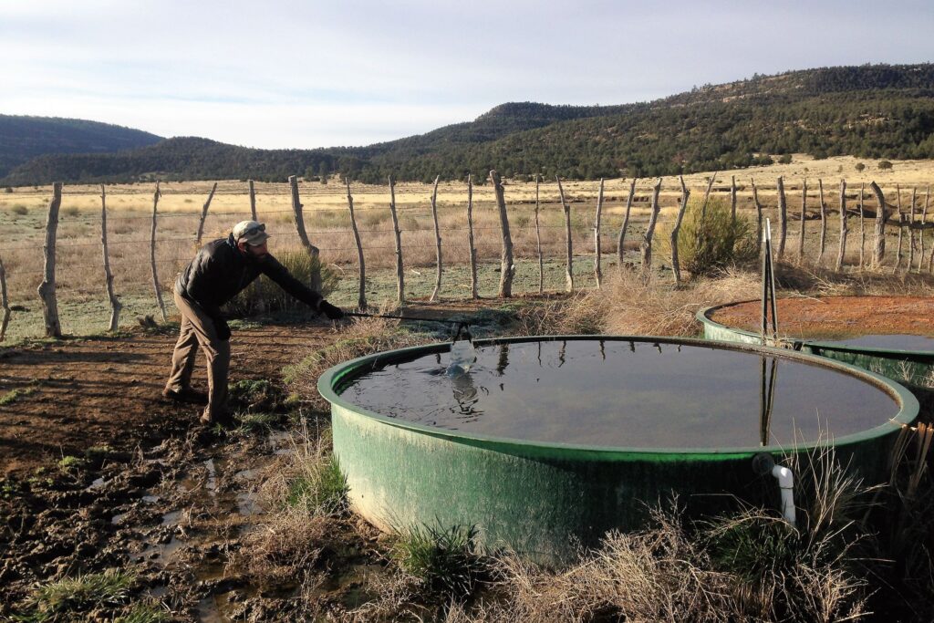 a CDT thru-hiker gathers water from a livestock tank