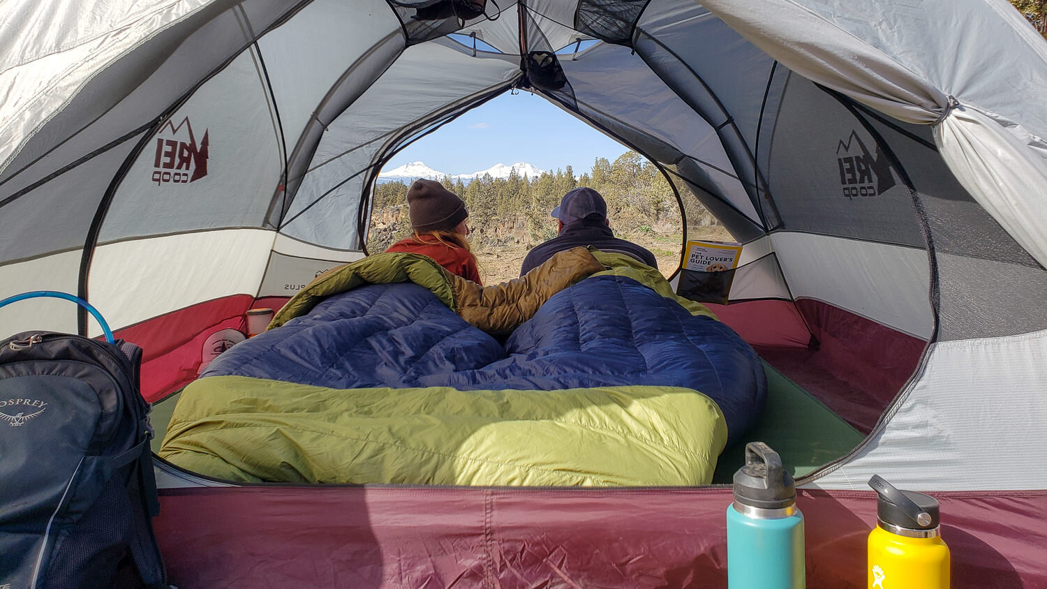 16 Backyard Camping Essentials For When You Don't Want To Leave