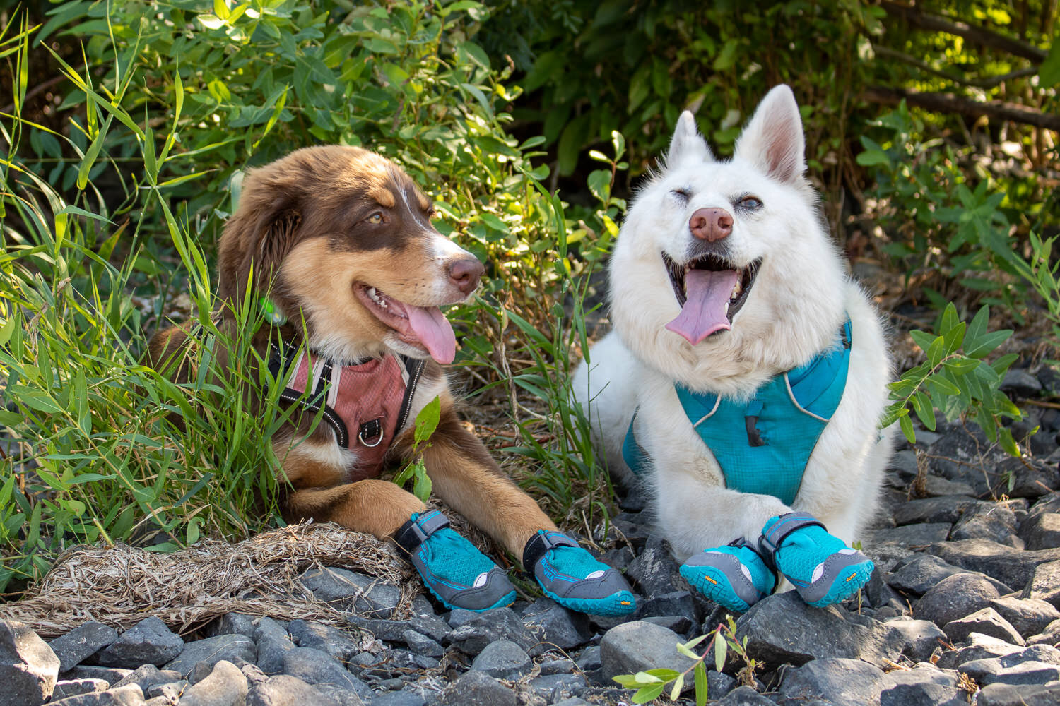 Ruffwear Grip Trex All-Terrain Dog Boots