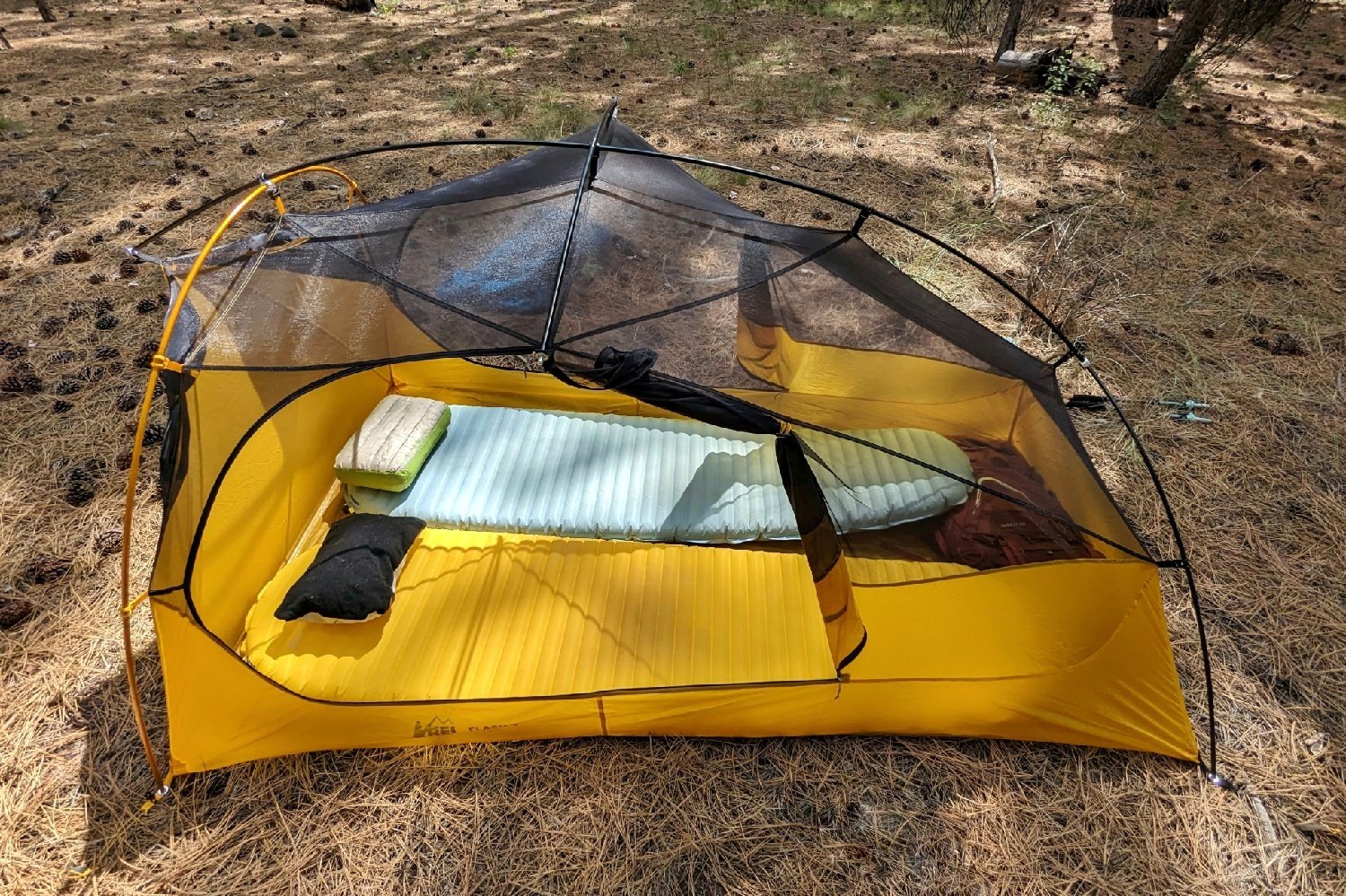 a backpacking tent pitched with two sleeping pads inflated with pillows resting at their head.