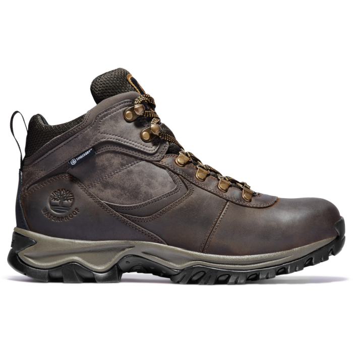 Timberland Mt Maddsen Stock Image