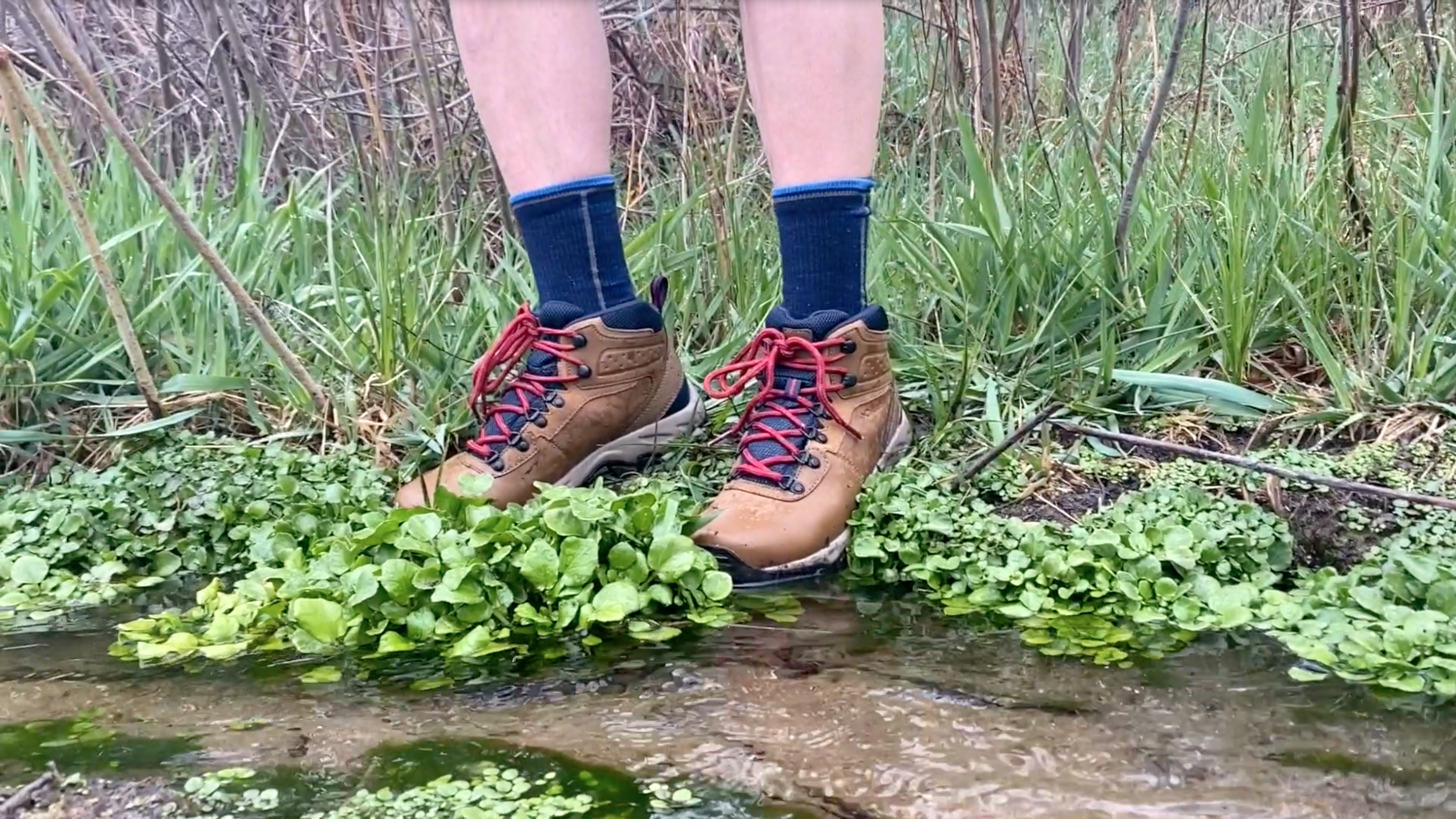 Close up from knees down of a man standing next to a stream in green grass in hiking boots.