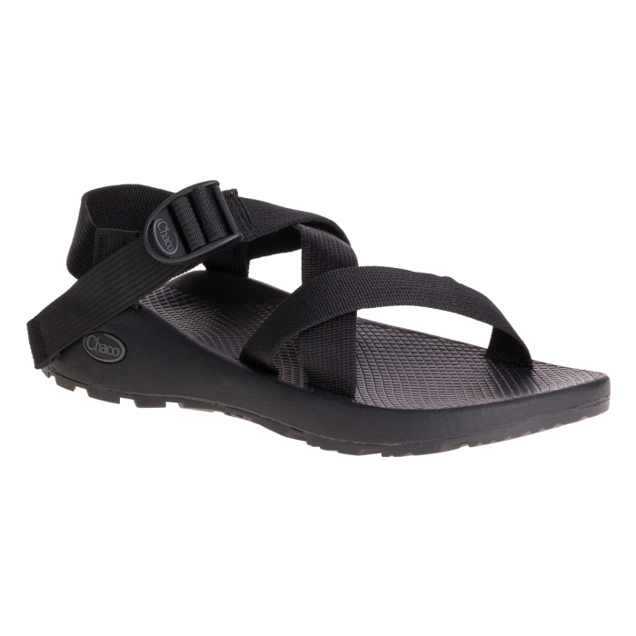 Stock image of Chaco Z/1 Classic