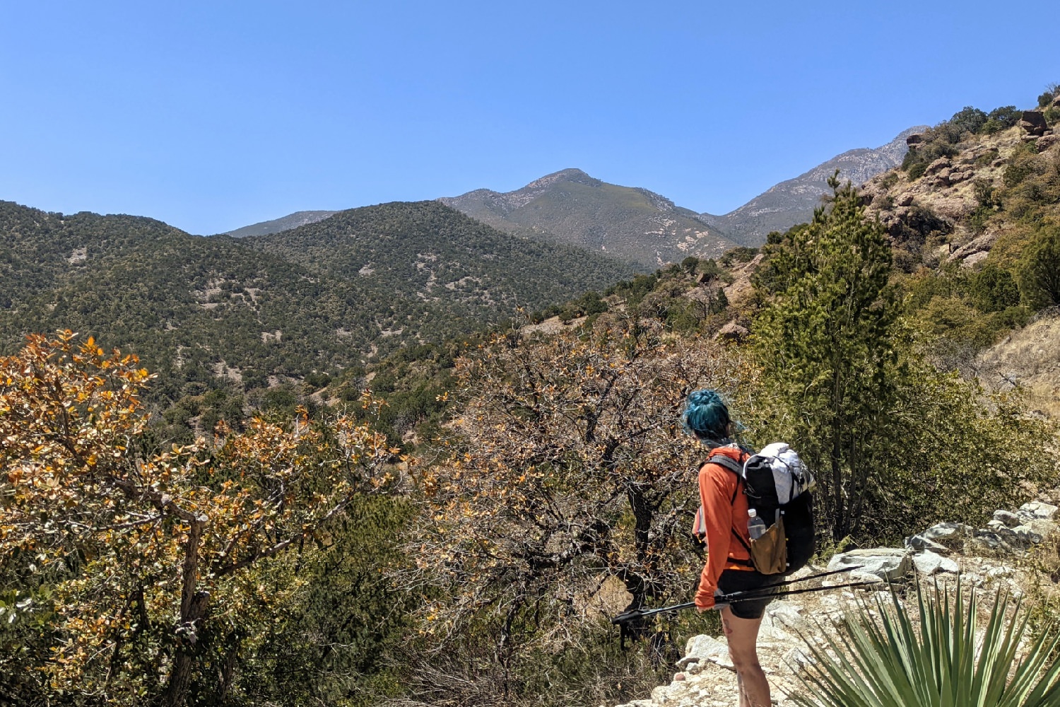 solo backpacking trips arizona