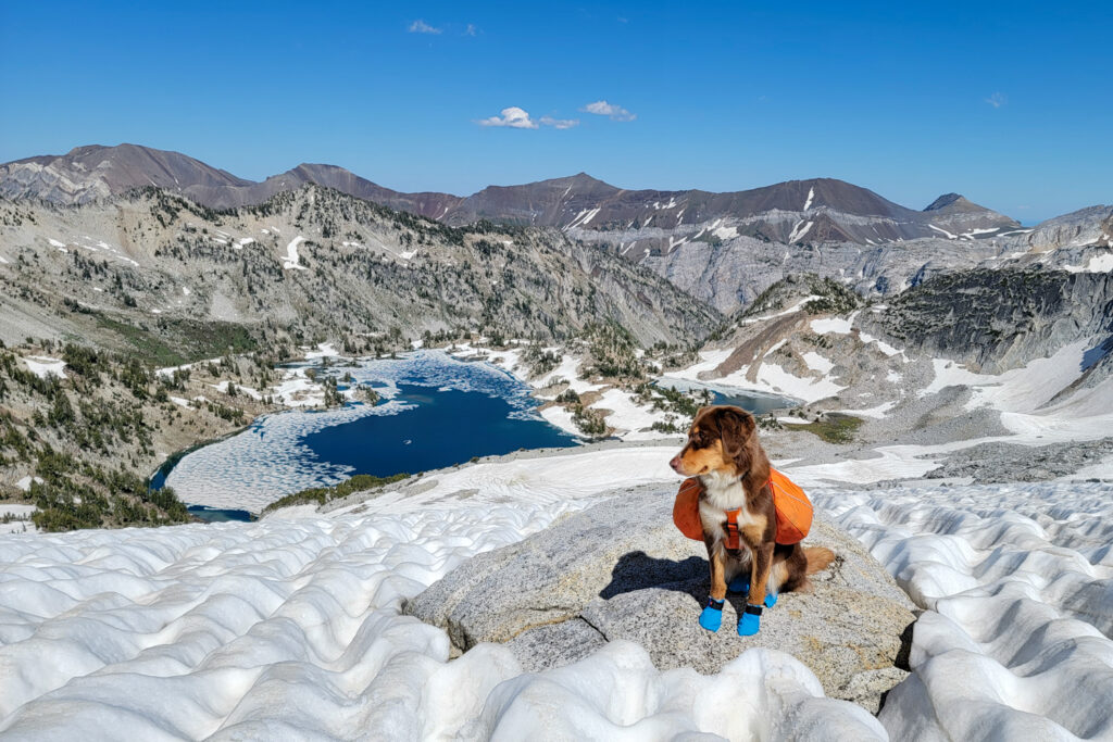 A dog wearing the Ruffwear Approach backpack in front of a snowy lake and marbled mountain peaks
