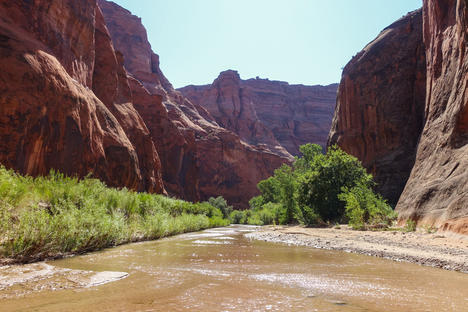 wide canyon and river view on a sunny day in the Paria Canyon-Vermilion Cliffs Wilderness, Vermilion Cliffs National Monument
