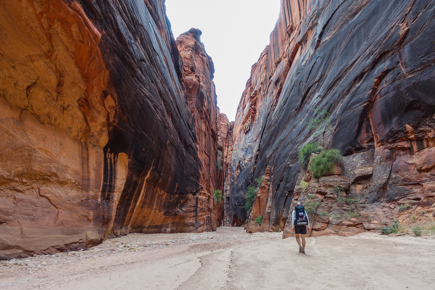 iron rich black and dark red faced redstone canyon walls on a wider section of the buckskin gulch