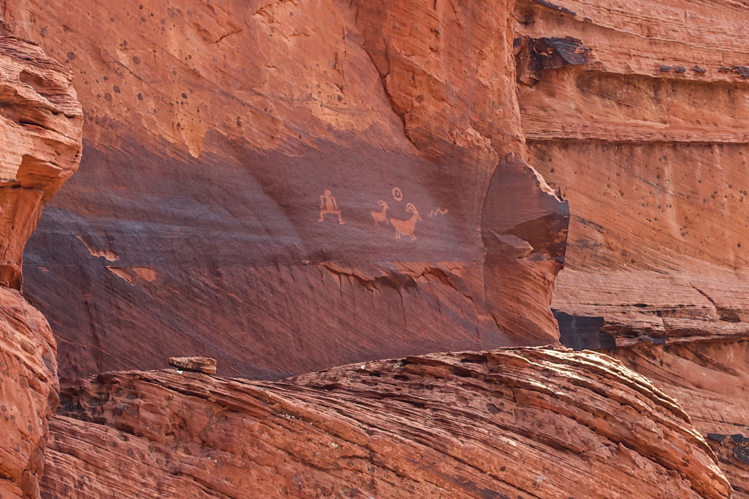 native american petroglypho of animals and humans etched into the redstone of buckskin gulch