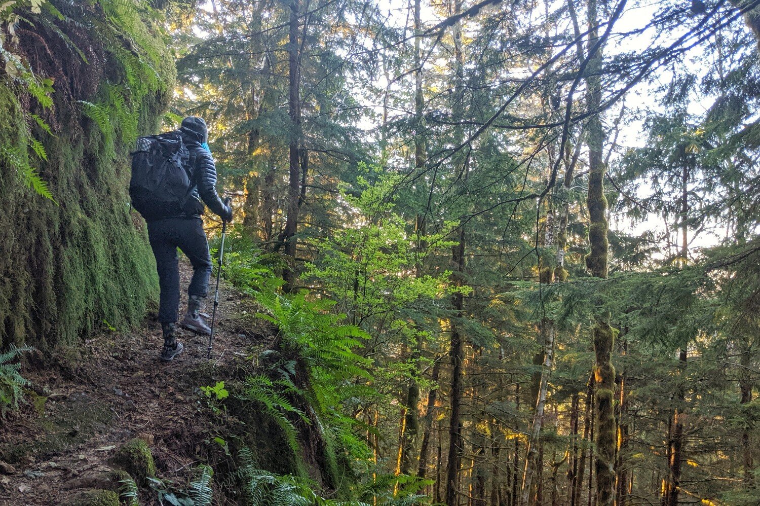 Appalachian Trail thru-hiker walking along a mossy ledge in the forest.