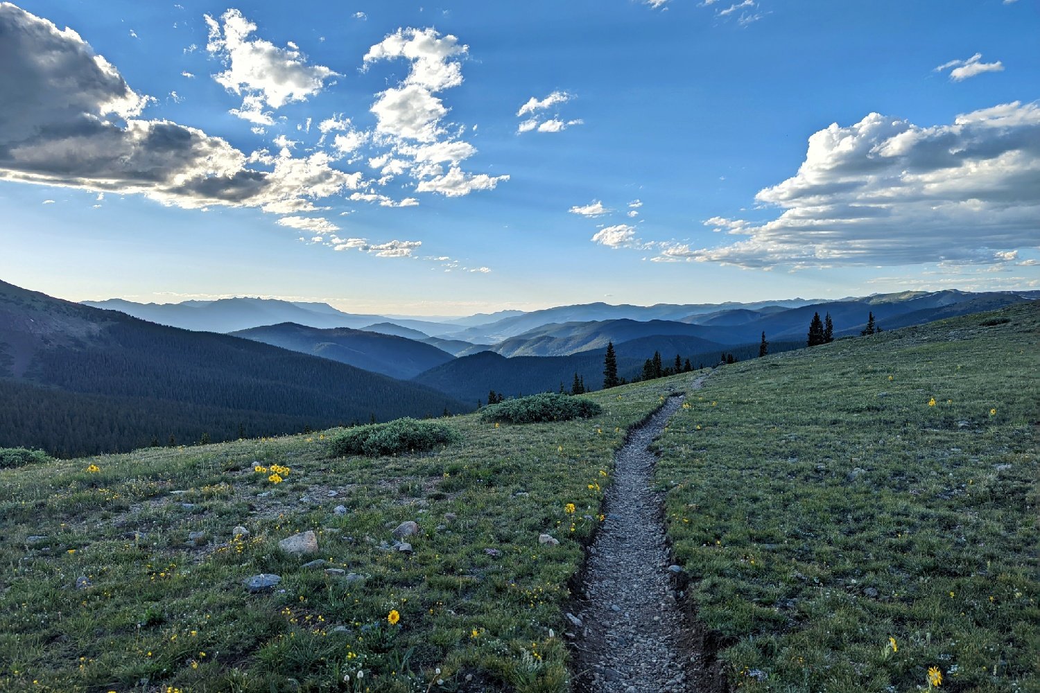 trail leading to gr