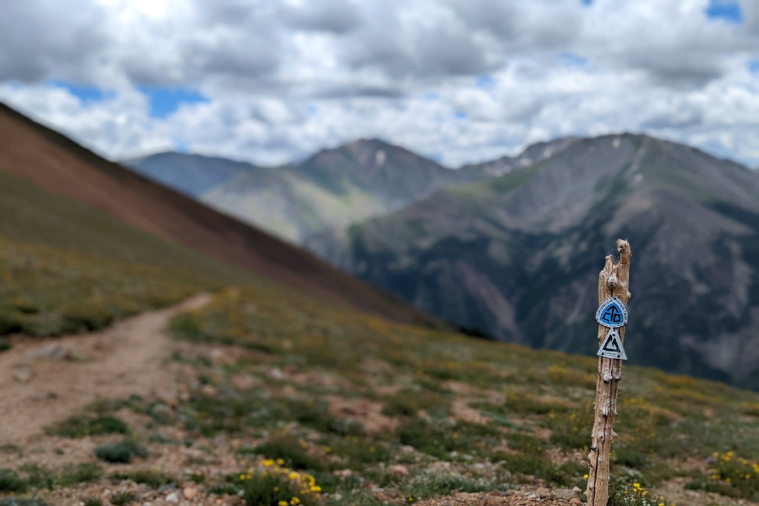 a post in the ground on an alpine ridge with trail markers for the Colorado trail.