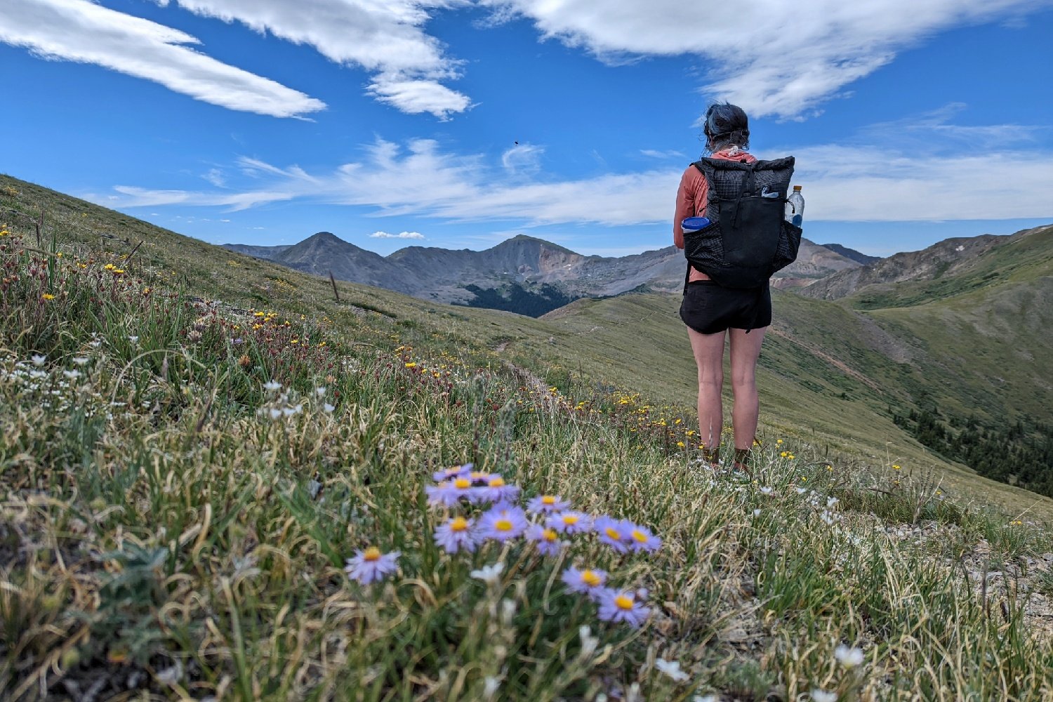 backpacker overlooking a green mountain range with purple and gold flowers in the foreground