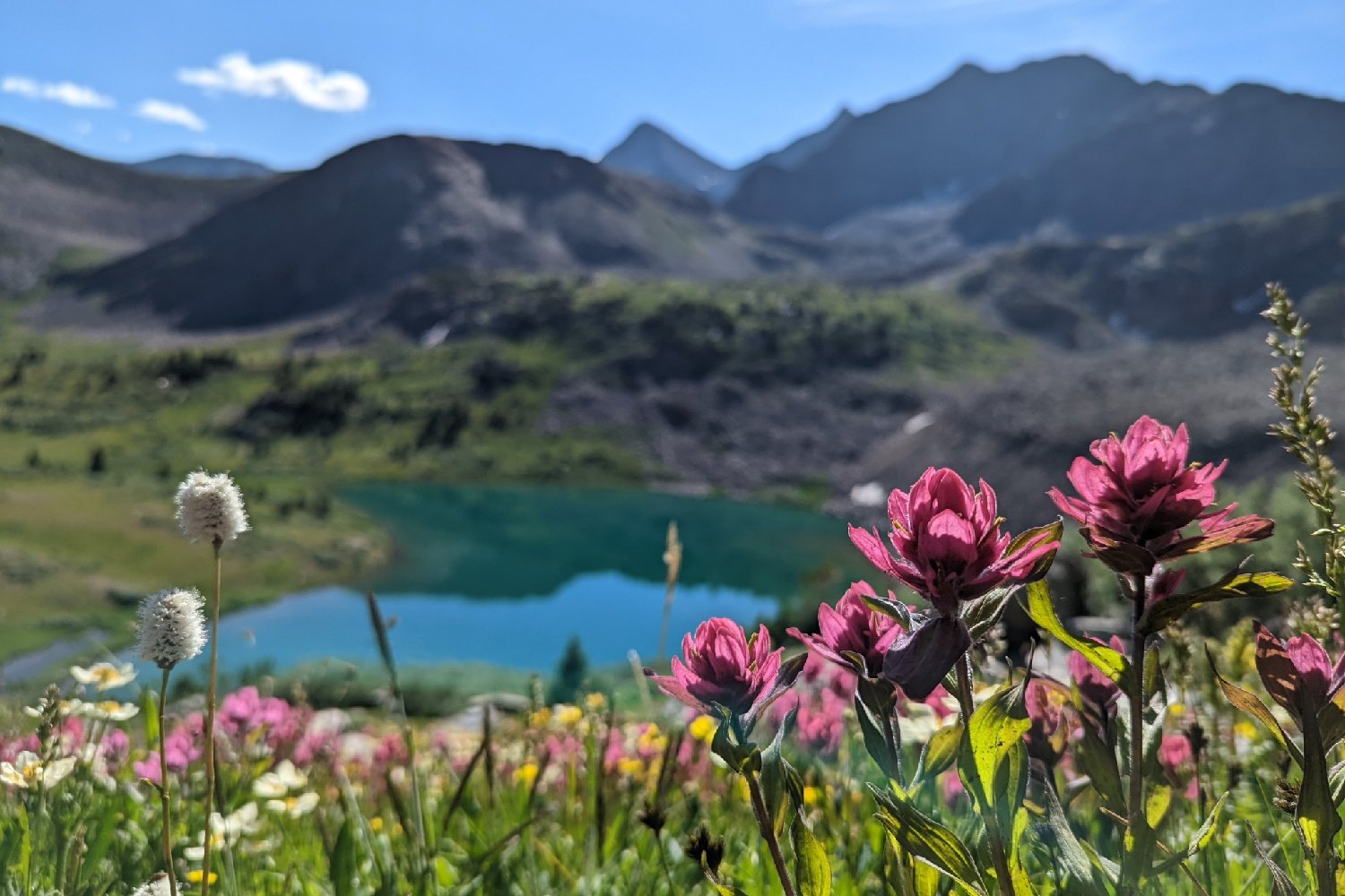 paintbrush and other alpine flowers in the foreground and a blue lake below surrounded by green mountains