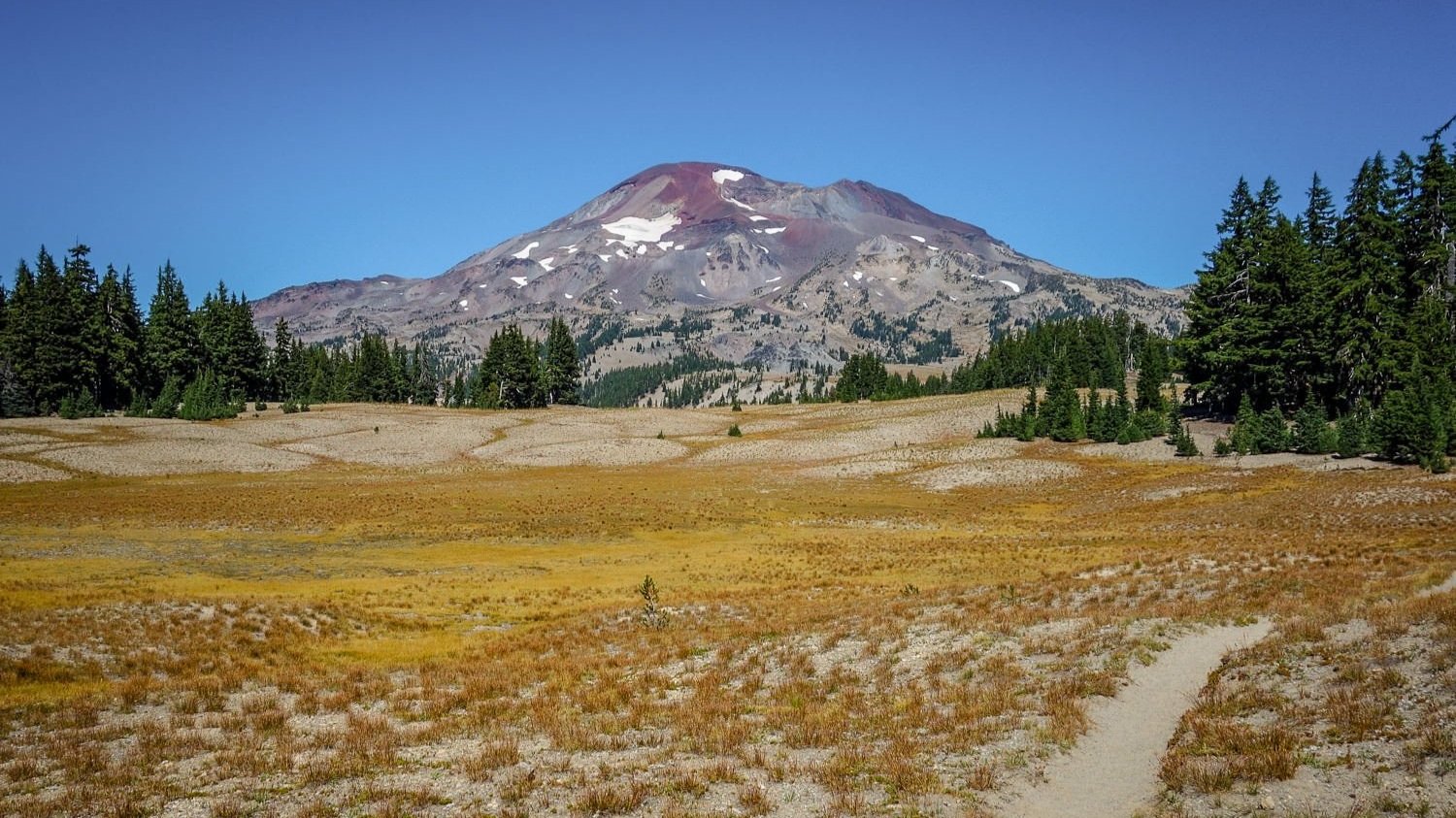 the volcano, south sister on a sunny day, in the three sisters wilderness.