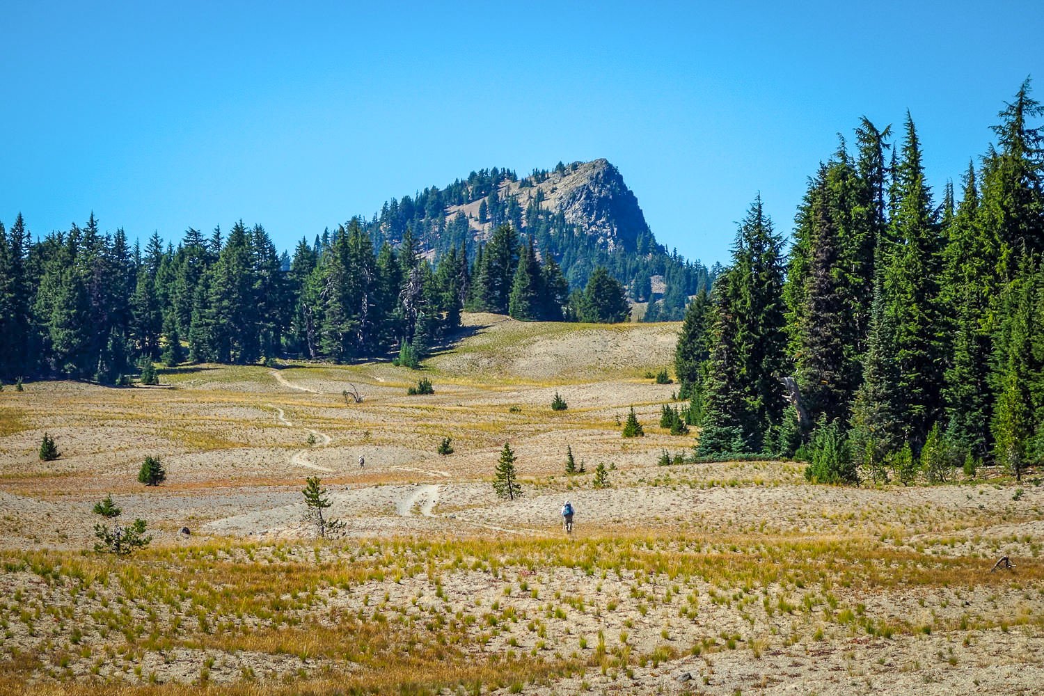 trail leading to a crag across a sandy meadow in the three sisters wilderness