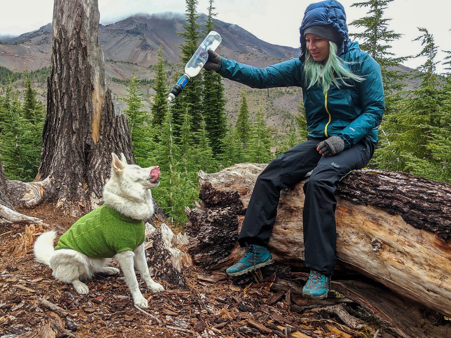 backpacker sitting on a log giving water to their dog from a sawyer squeeze bottle. 