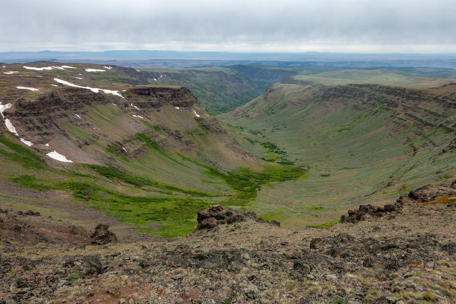 snow melt and green spring growth blanket the walls of the steens.