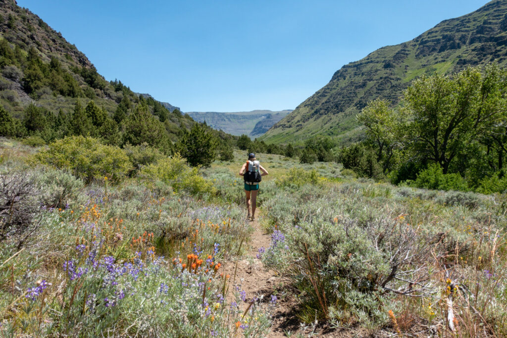 backpacker inbig indian gorge in the steens