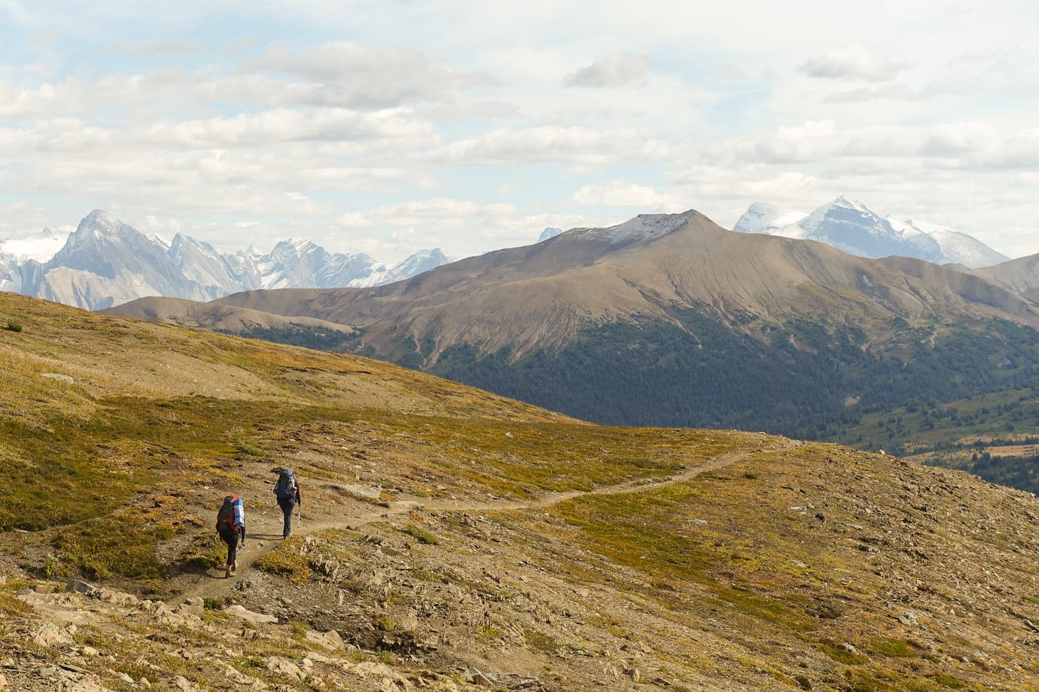 two backpackers walking down a trail in jasper national park on the skyline trail