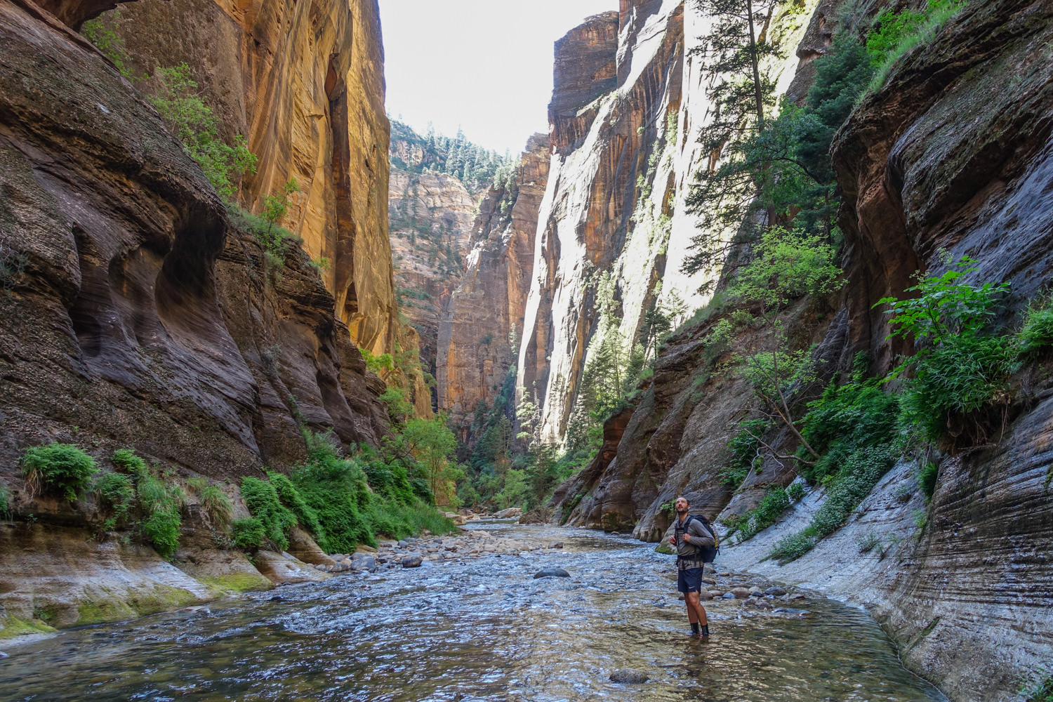 a hiker in the shade of the canyon walls with the sun still shining down the river canyon