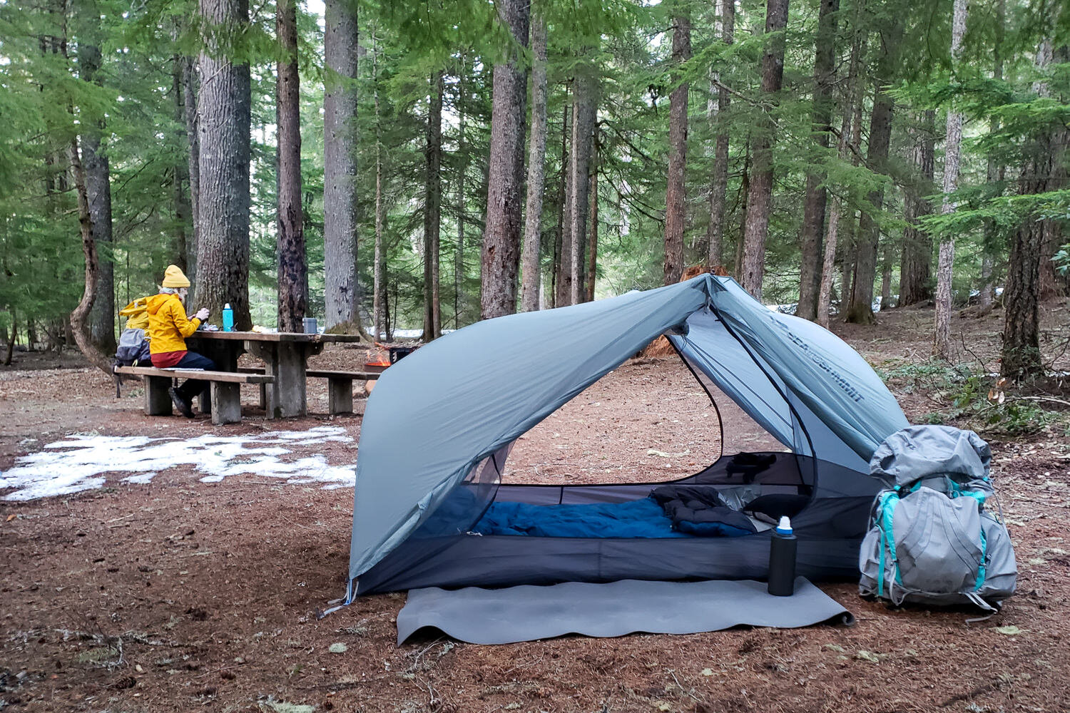 backpackers set up camp at a campground with a tent, sleeping bag and sleeping pad on the mckenzie river trail