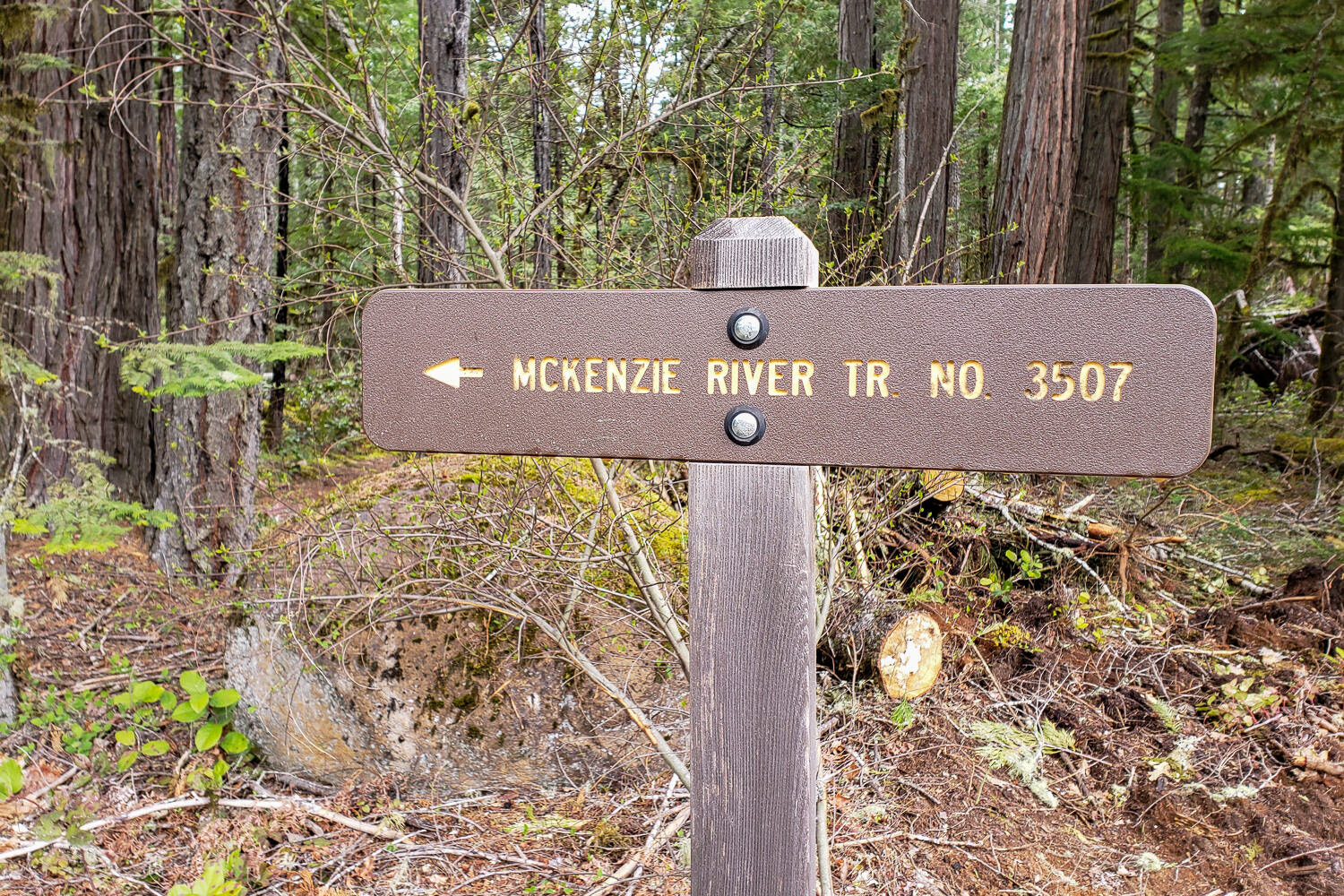 a forest service sign pointing to the mckenzie river trail in oregon