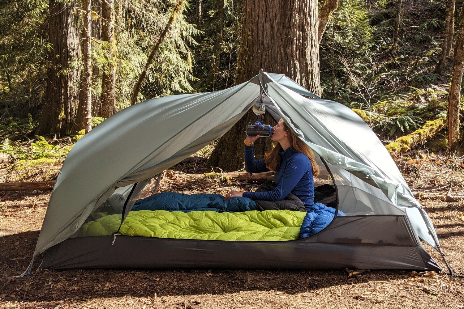 backpacker in their tent on the mckenzie river