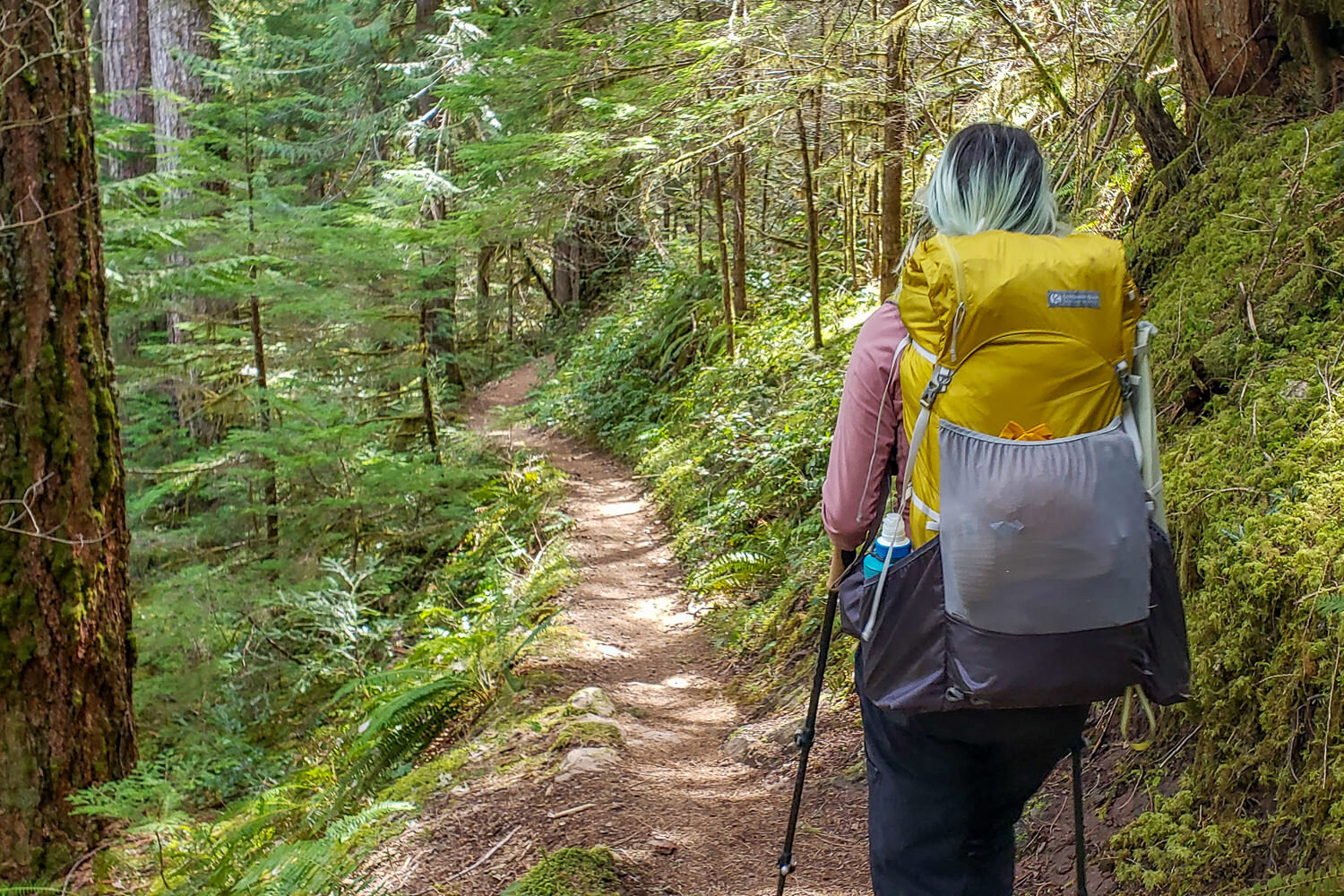 backpacker with a gossamer backpack on the mckenzie river trail in oregon