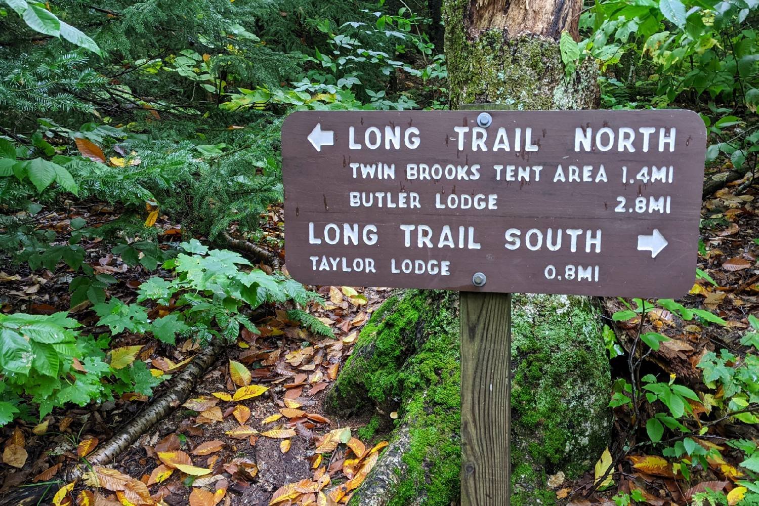 trail sign marking two directions for the long trail, north or south with their associated mileage.