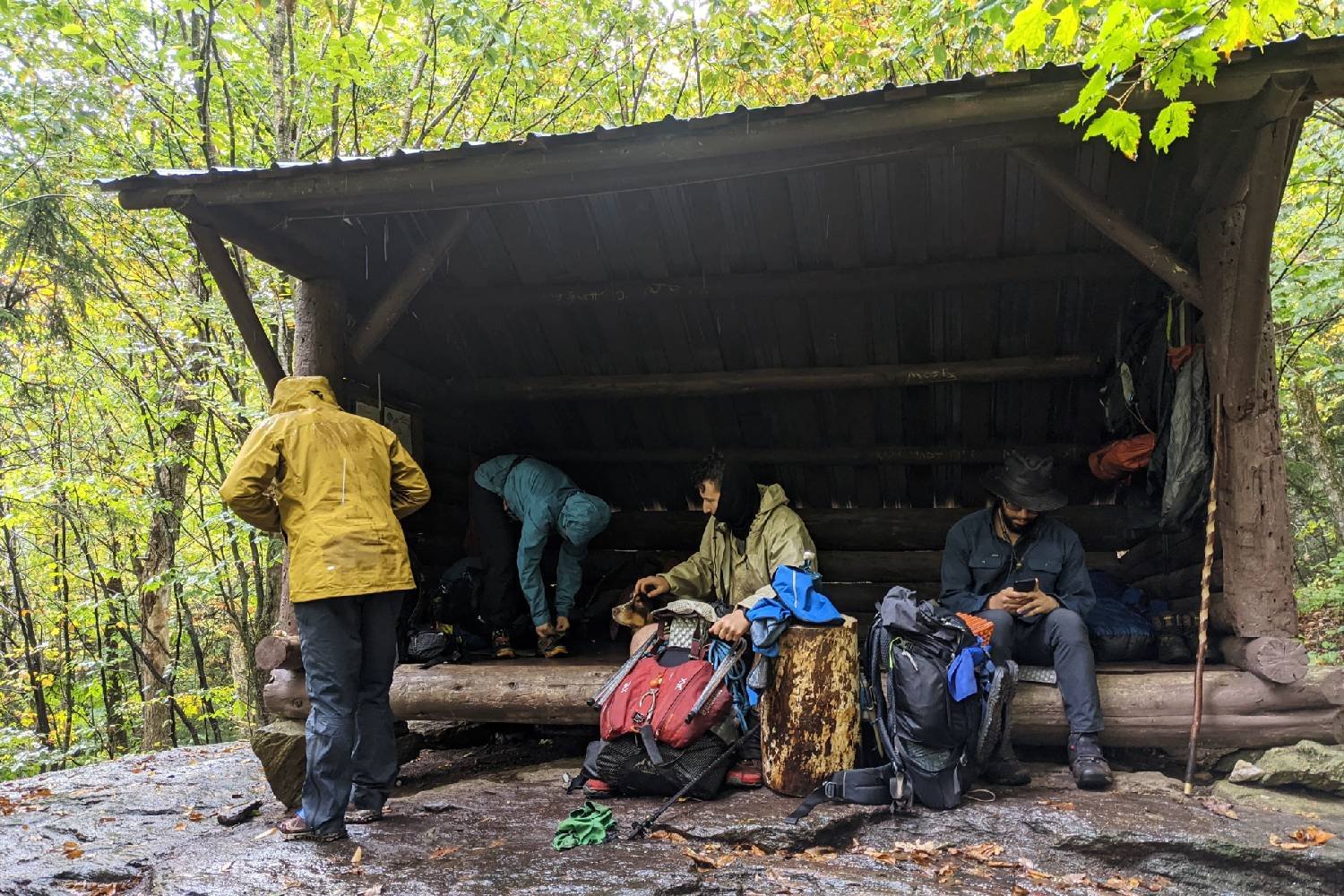 lean-to in the rain with backpackers setting up to sleep and camp on the long trail in vermont.