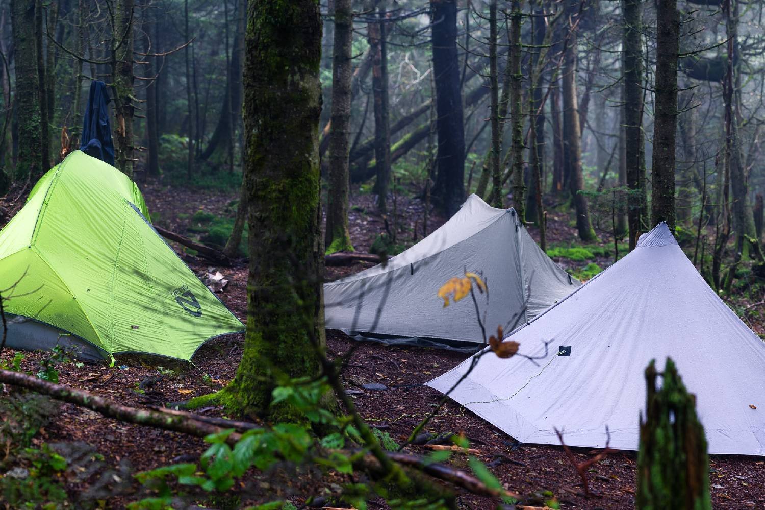 three tents pitched in a forest in the rain on vermont's long trail.