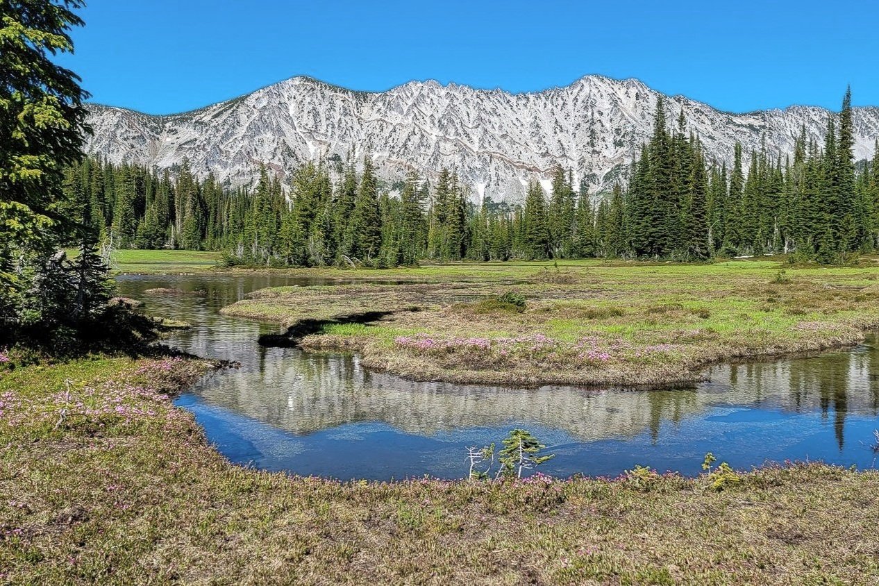 A river in a wide valley below a granite ridge reflects the mountains and the bright blue sky in the eagle cap wilderness.