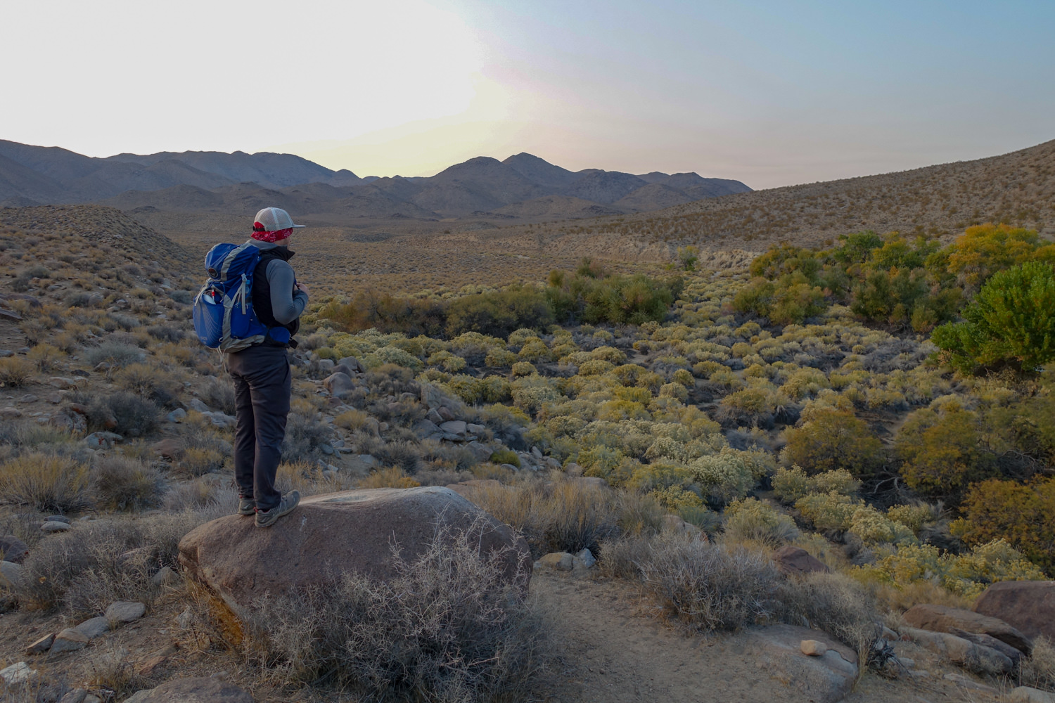 backpacker looking over a brush covered desert on the cottonwood marble canyon loop