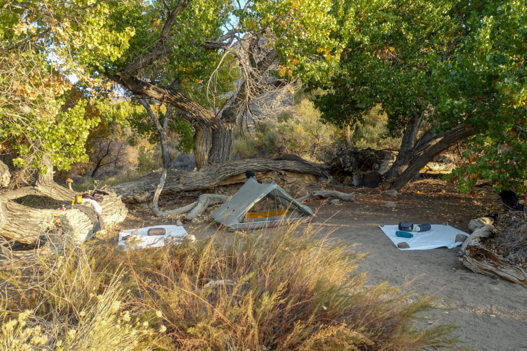 campsite with two tarps for sleeping on and a tent