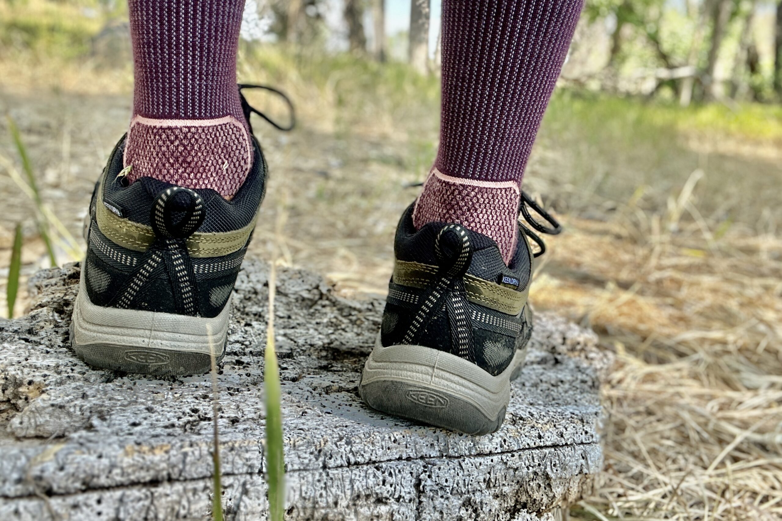 A close up of the Keen Targhee IV hiking shoes from the back, showing off the heel design.