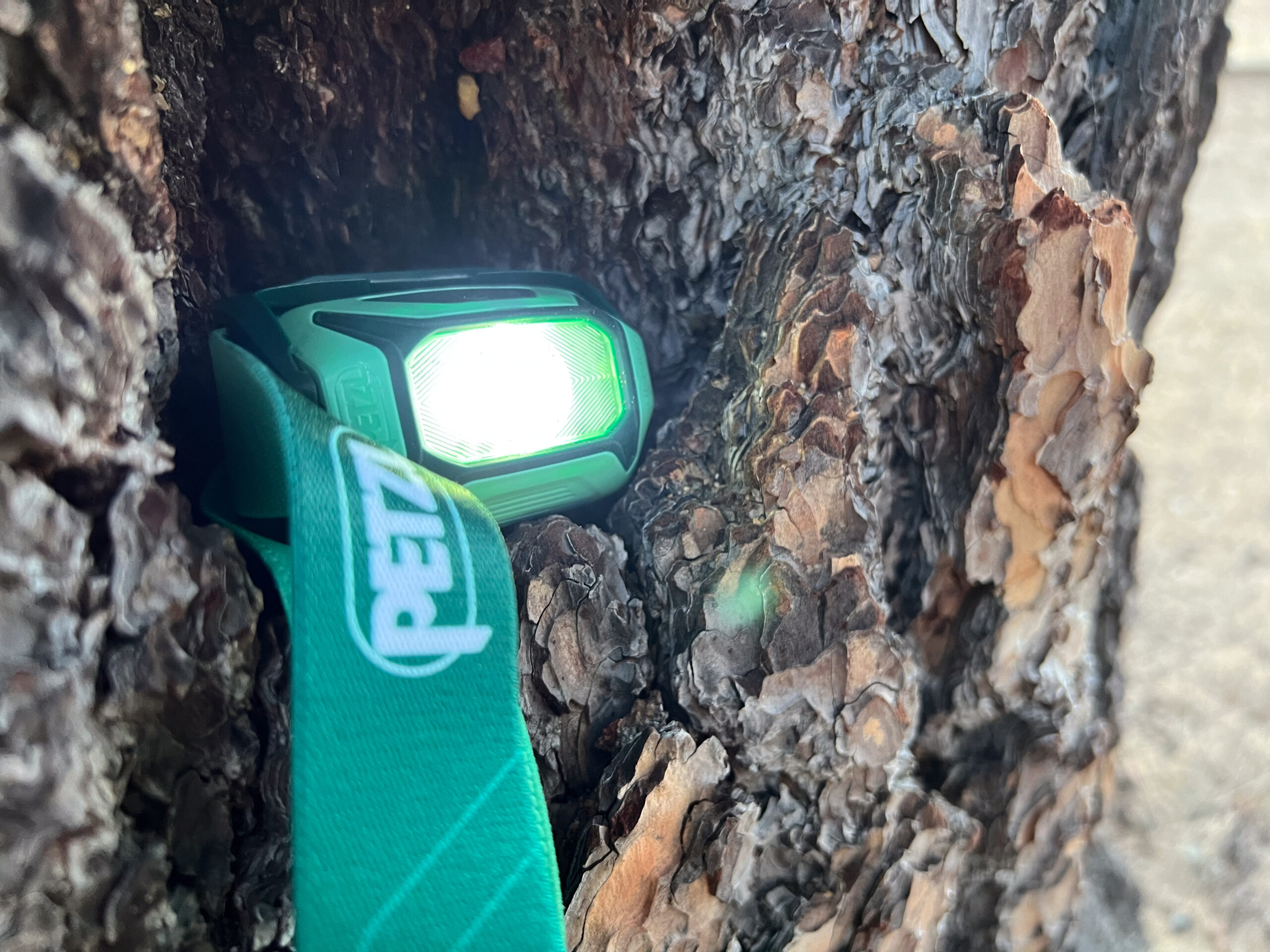 The Image shows a headlamp sitting in a small hole in a tree.