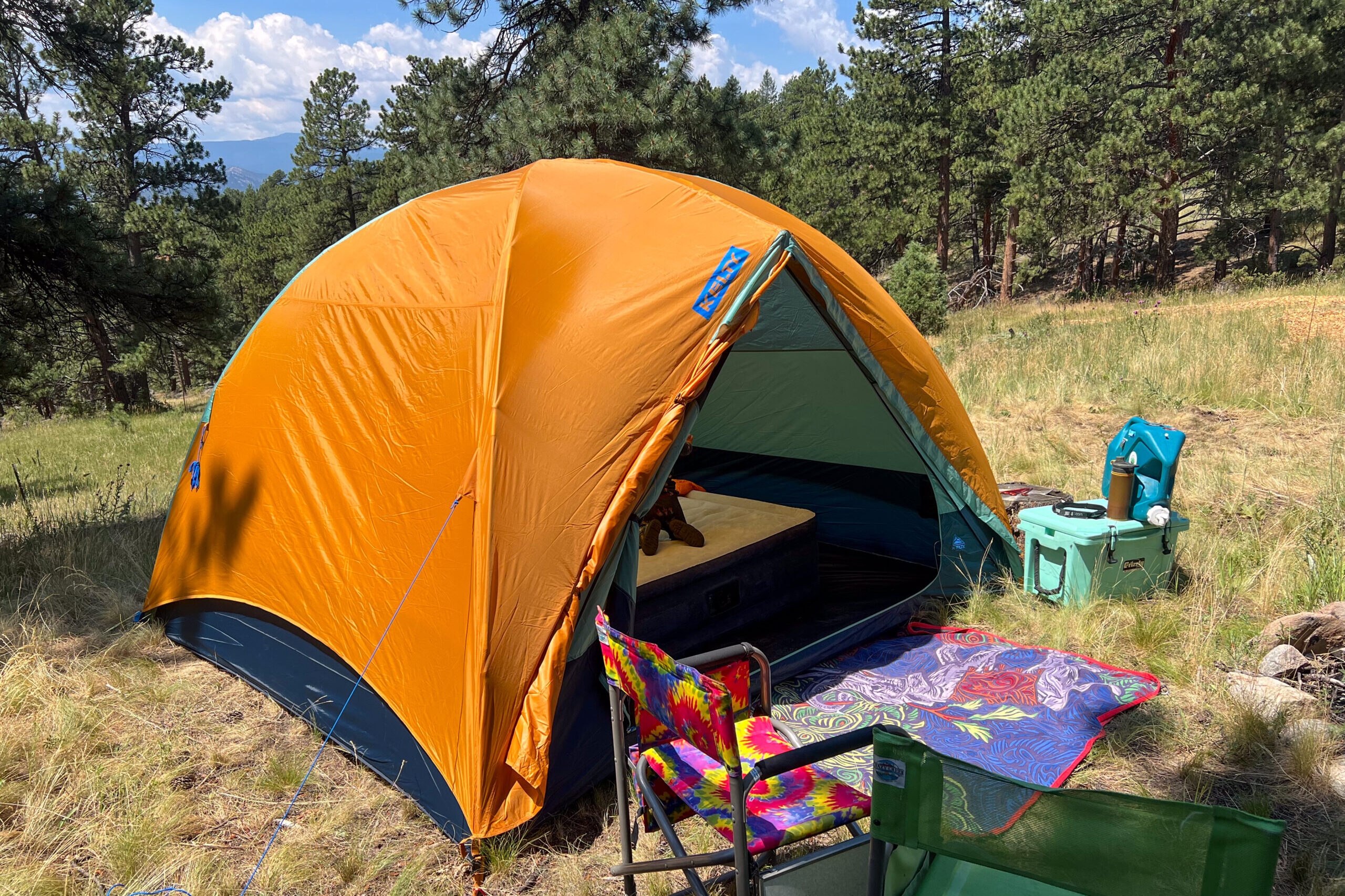 The image shows a side view of the Wireless 6 with the front vestibule open and rolled back. There is a stakes out guy line showing the tightness of the fly when guyed out. The tent it in a grassy environment with trees in the background.