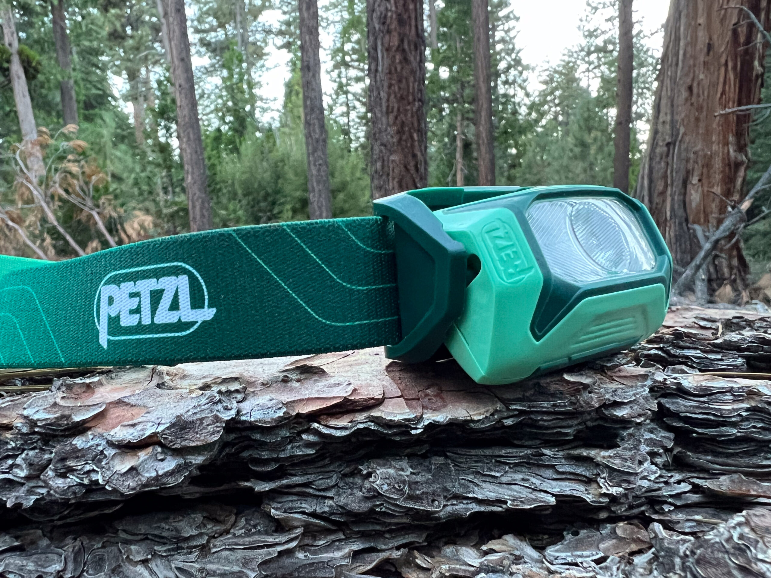 The image shows the Petzl Tikkina tilted up towards the sky. The headlamp is turned off and sitting on a downed tree.