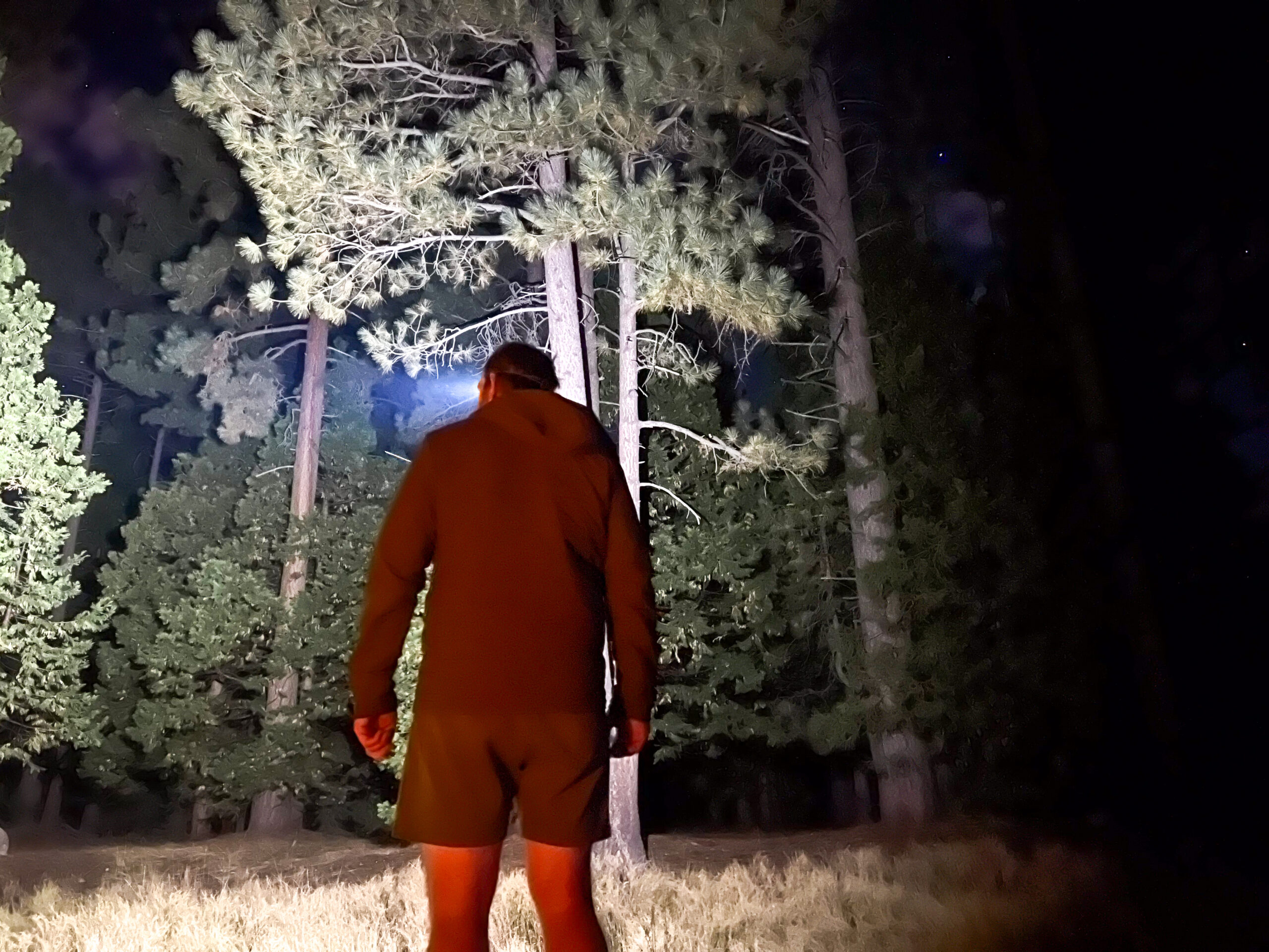 The image shows a camper illuminating the woods. The camper is facing away from the camera.