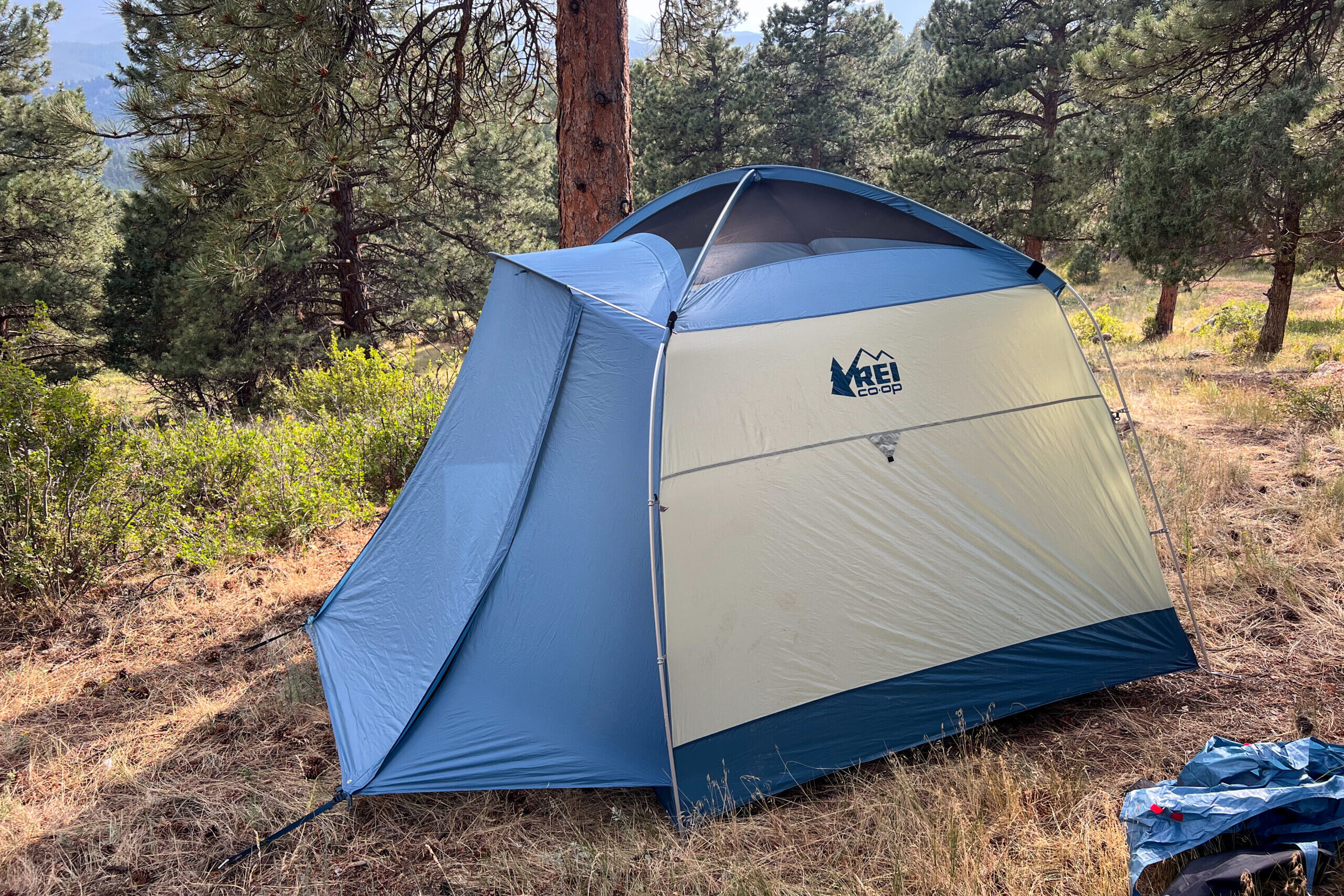 The image shows a medium shot of the REI Skyward 4 without the rainfly. The tent is surrounded by pine trees.