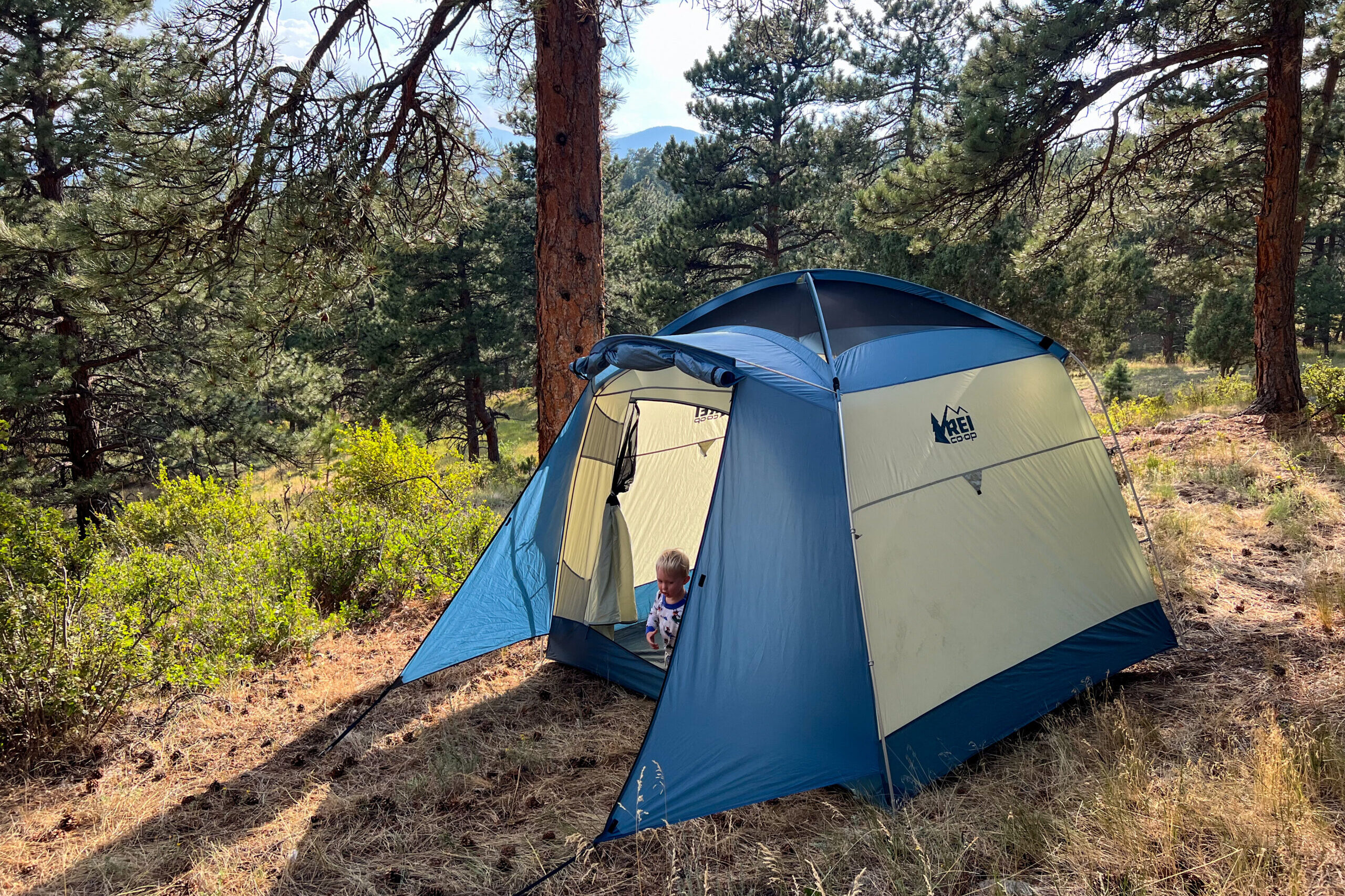 The image shows a medium shot of the REI Skyward 4 from the side with a child poking is head out of the ten. The ten is surrounded by pine trees.