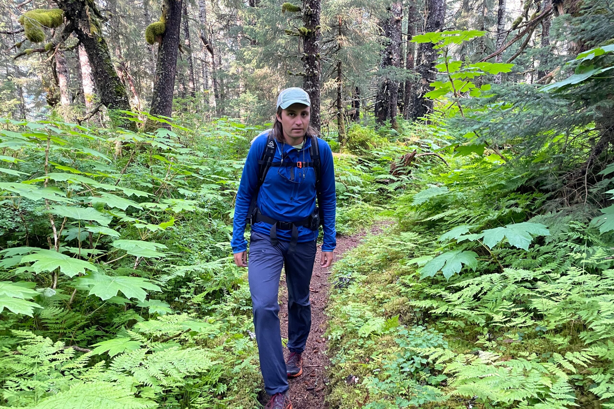 A man walks uphill through a dense forest.